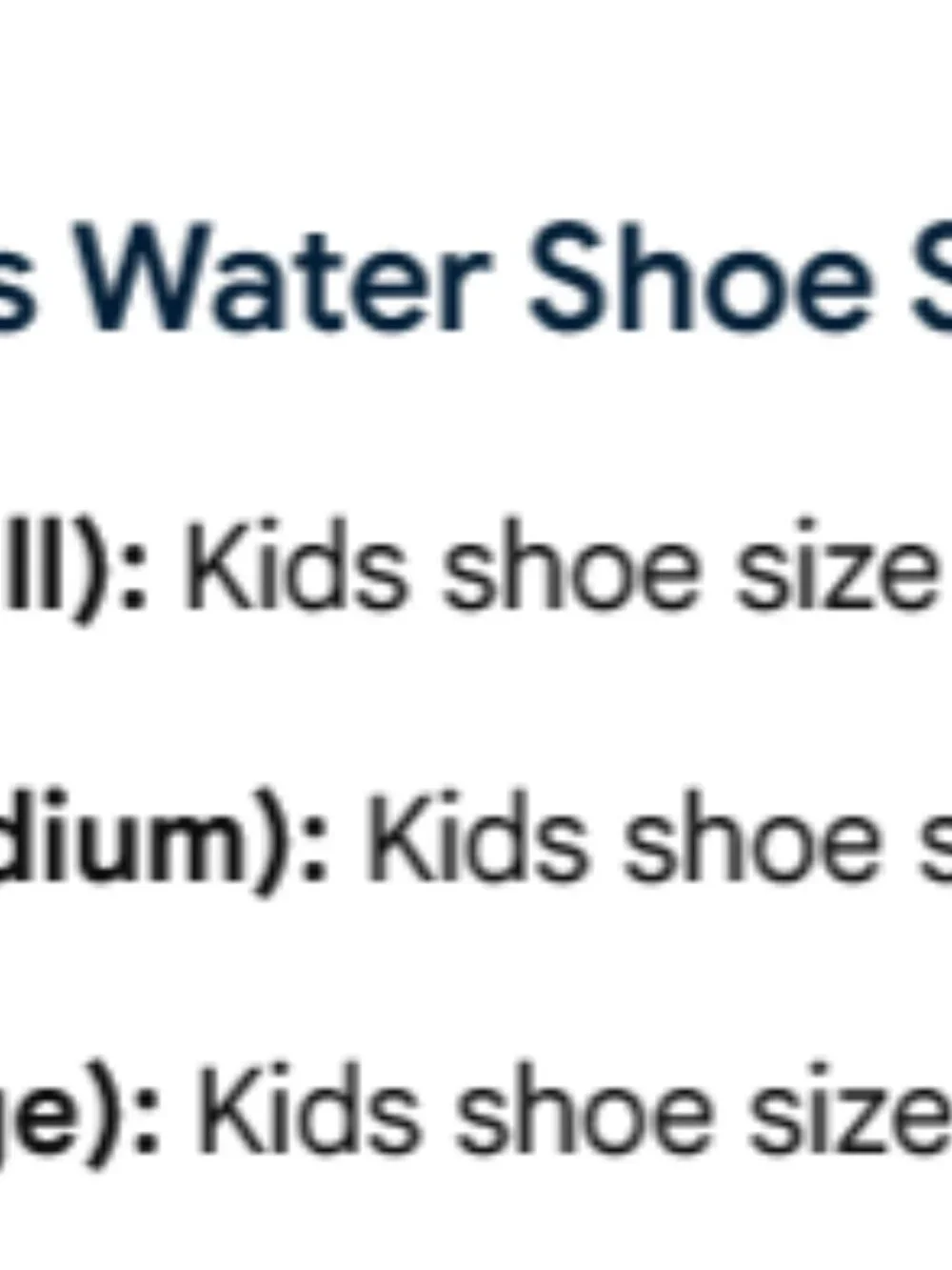 Speedo Juniors Kids Boys Water Shoes Blue Size M (shoe size 2-3)